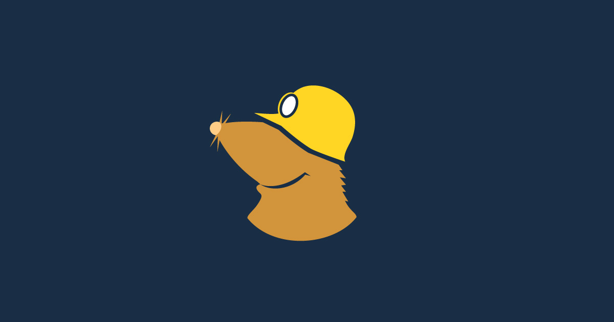 Mullvad VPN